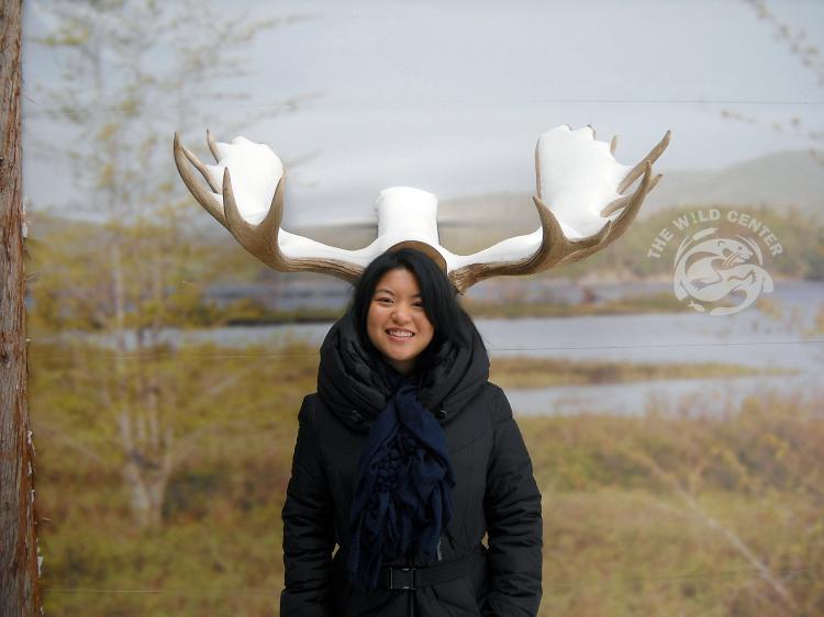 <a><img src="https://www.theepochtimes.com/assets/uploads/2015/09/kaitymoose.jpg" alt="MOOSE HEAD: Kaity Tsui, voted The Greenest New Yorker in a contest by the I love NY board, sports a pair of moose antlers in upstate NY. Courtesy Empire State Development (Courtesy Empire State Development)" title="MOOSE HEAD: Kaity Tsui, voted The Greenest New Yorker in a contest by the I love NY board, sports a pair of moose antlers in upstate NY. Courtesy Empire State Development (Courtesy Empire State Development)" width="320" class="size-medium wp-image-1806211"/></a>