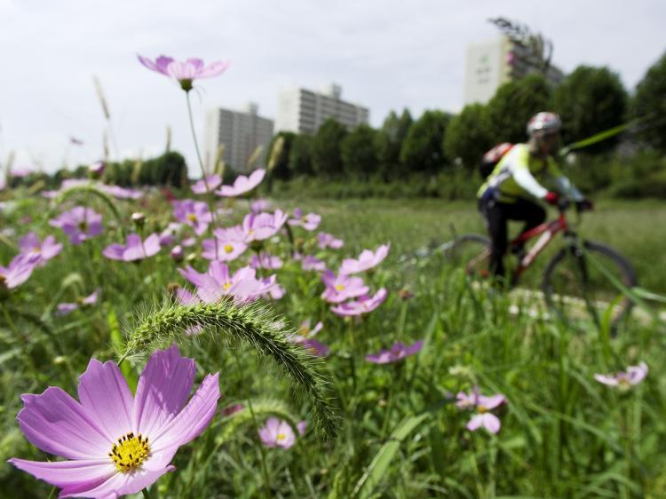 <a><img src="https://www.theepochtimes.com/assets/uploads/2015/09/korea-small.jpg" alt="A cyclist in the central South Korean city of Daejeon enjoys one of the city's many riverside bike trails. (Jarrod Hall/The Epoch Times )" title="A cyclist in the central South Korean city of Daejeon enjoys one of the city's many riverside bike trails. (Jarrod Hall/The Epoch Times )" width="320" class="size-medium wp-image-1826384"/></a>