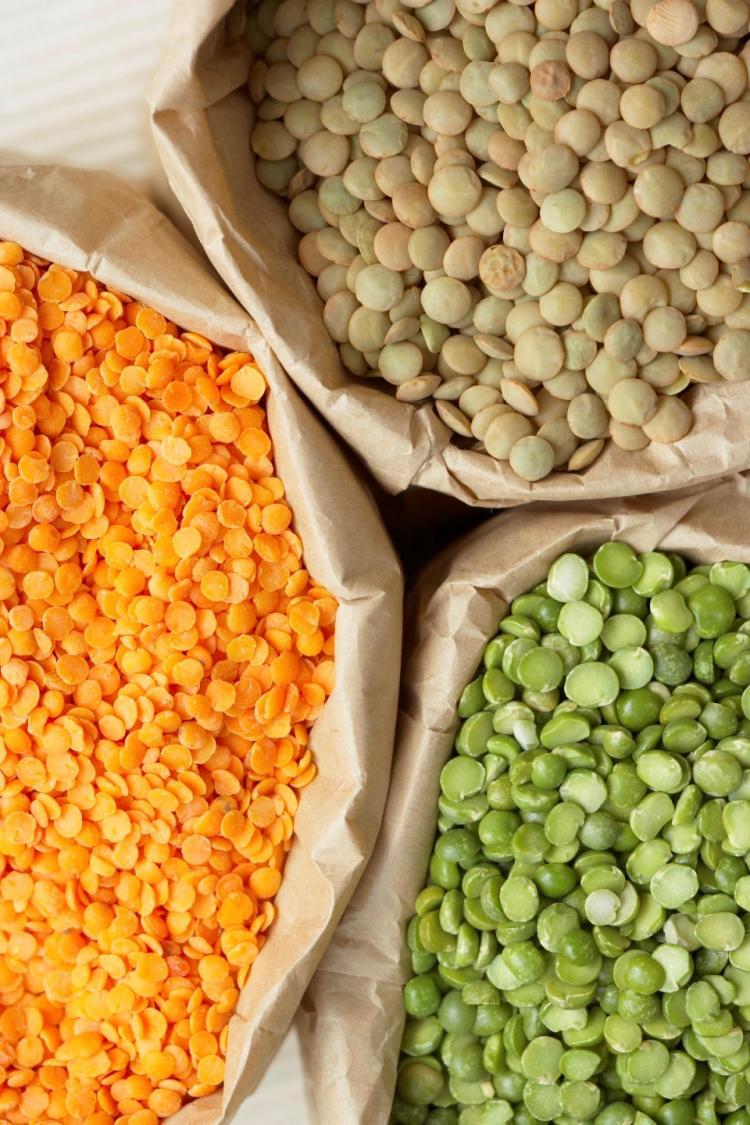 <a><img src="https://www.theepochtimes.com/assets/uploads/2015/09/lentils_healthy_grain.jpg" alt="Lentils are low in fat and a good source of fiber and protein. (Photos.com)" title="Lentils are low in fat and a good source of fiber and protein. (Photos.com)" width="320" class="size-medium wp-image-1814895"/></a>