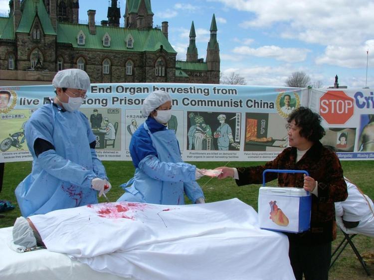 <a><img src="https://www.theepochtimes.com/assets/uploads/2015/09/oh.JPG" alt="Falun Gong practitioners enact a scene of organ harvesting in China. On his Falun Gong practitioners enact a scene of organ harvesting in China. On his visit to China, practitioners are calling on Foreign Affairs Minister Lawrence Cannon to urge the regime to stop the brutal persecution against their practice and release all prisoners. (Xiaoyan Sun/The Epoch Times)" title="Falun Gong practitioners enact a scene of organ harvesting in China. On his Falun Gong practitioners enact a scene of organ harvesting in China. On his visit to China, practitioners are calling on Foreign Affairs Minister Lawrence Cannon to urge the regime to stop the brutal persecution against their practice and release all prisoners. (Xiaoyan Sun/The Epoch Times)" width="320" class="size-medium wp-image-1828425"/></a>