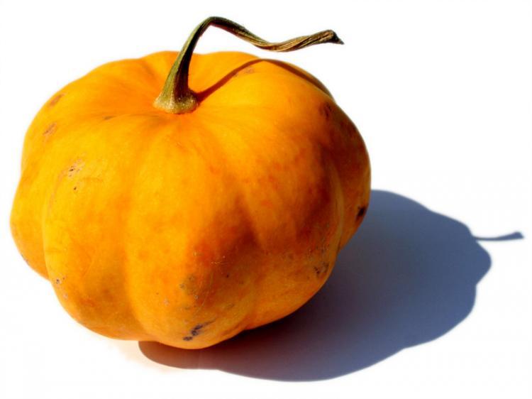 <a><img src="https://www.theepochtimes.com/assets/uploads/2015/09/pumkiNfacial.jpg" alt="Pumpkin (www.JenaFoto24.de/www.pixelio.de)" title="Pumpkin (www.JenaFoto24.de/www.pixelio.de)" width="320" class="size-medium wp-image-1832859"/></a>