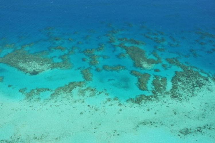 <a><img class="size-full wp-image-1786671" title="Aerial views of The Great Barrier Reef are seen off Cairns, Australia. Low water quality is affecting almost a quarter of the Great Barrier Reef, a new study shows. (Phil Walter/Getty Images)" src="https://www.theepochtimes.com/assets/uploads/2015/09/reef_89650081.jpg" alt="" width="750" height="500"/></a>