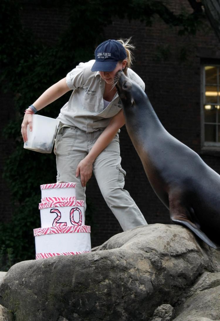 <a><img src="https://www.theepochtimes.com/assets/uploads/2015/09/seal.JPG" alt="HAPPY ZOO DAY: The Central Park Zoo celebrated its 20th anniversary on Monday. (Edward Dai/The Epoch Times)" title="HAPPY ZOO DAY: The Central Park Zoo celebrated its 20th anniversary on Monday. (Edward Dai/The Epoch Times)" width="320" class="size-medium wp-image-1834571"/></a>