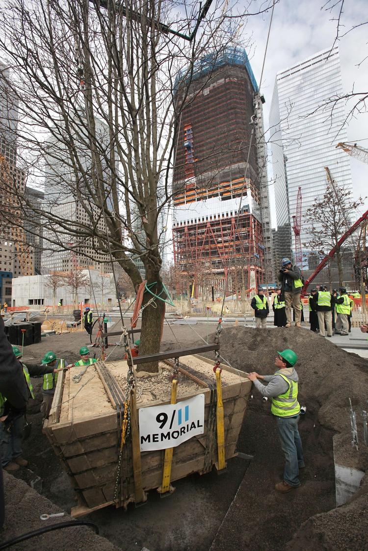<a><img src="https://www.theepochtimes.com/assets/uploads/2015/09/survivortree.jpg" alt="Workers look on at a ceremonial planting of the so-called 'Survivor Tree' at the 9/11 Memorial of the World Trade Center site on Dec. 22, 2010. The Callery Pear tree was originally planted in the 1970s at the World Trade Center site. It sustained extensiv (Mario Tama/Getty Images)" title="Workers look on at a ceremonial planting of the so-called 'Survivor Tree' at the 9/11 Memorial of the World Trade Center site on Dec. 22, 2010. The Callery Pear tree was originally planted in the 1970s at the World Trade Center site. It sustained extensiv (Mario Tama/Getty Images)" width="320" class="size-medium wp-image-1810609"/></a>