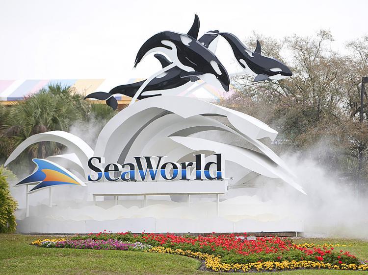 <a><img src="https://www.theepochtimes.com/assets/uploads/2015/09/sworklsd97030782.jpg" alt="The sign at the entrance to SeaWorld February 24, 2010 in Orlando, Florida, where female trainer who presumably slipped and fell in to a holding tank was fatally injured after she was attacked by an orca. (Matt Stroshane/Getty Images)" title="The sign at the entrance to SeaWorld February 24, 2010 in Orlando, Florida, where female trainer who presumably slipped and fell in to a holding tank was fatally injured after she was attacked by an orca. (Matt Stroshane/Getty Images)" width="320" class="size-medium wp-image-1795850"/></a>