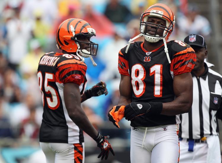 <a><img src="https://www.theepochtimes.com/assets/uploads/2015/09/terrell_owens_104468438.jpg" alt="Terrell Owens #81 and teammate Chad Ochocinco #85 of the Cincinnati Bengals wait for a play against the Carolina Panthers during their game at Bank of America Stadium on September 26, 2010 in Charlotte, North Carolina.  (Streeter Lecka/Getty Images)" title="Terrell Owens #81 and teammate Chad Ochocinco #85 of the Cincinnati Bengals wait for a play against the Carolina Panthers during their game at Bank of America Stadium on September 26, 2010 in Charlotte, North Carolina.  (Streeter Lecka/Getty Images)" width="320" class="size-medium wp-image-1813392"/></a>