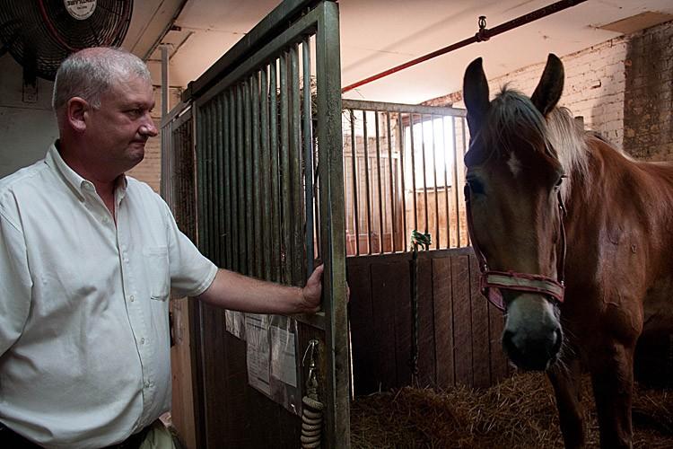 ON THE JOB: Stable manager and horse-drawn carriage driver Conor McHugh stands with a carriage horse in Clinton Park Stable on West 52nd Street. (TARA MacISAAC/THE EPOCH TIMES)