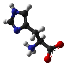 (Histidine as seen by a chemist)