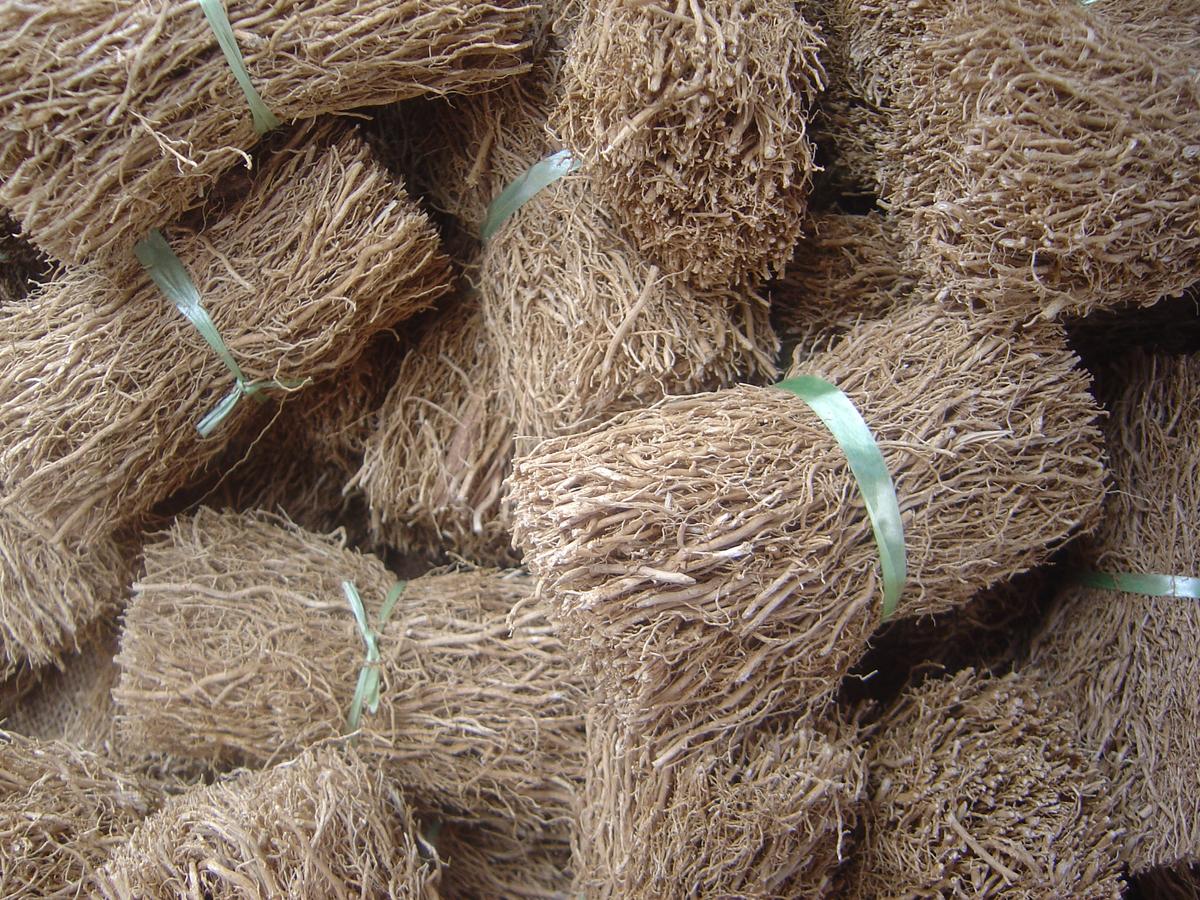 These root bundles come from a grass native to India called vetiver. The earthy smell of vetiver essential oil is used to ease anxiety. (Copyright © 2005 David Monniaux/Wikimedia Commons)