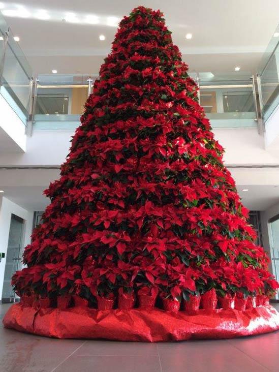 A tree of poinsettias from Wessels' Farms in Mount Hope and arranged by Greenery Florist Plus in Monroe at the headquarters of Mediacom in Chester on Dec. 5, 2015. (David Umberto)