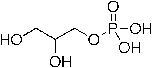 Glycerol 3-phosphate phosphatase (G3PP) (Wikimedia_Commons)