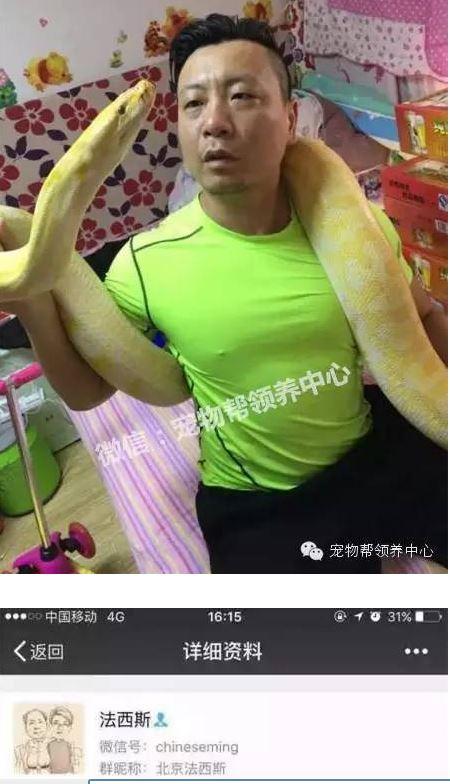 The man alleged to feed puppies to his pet python. (WeChat)