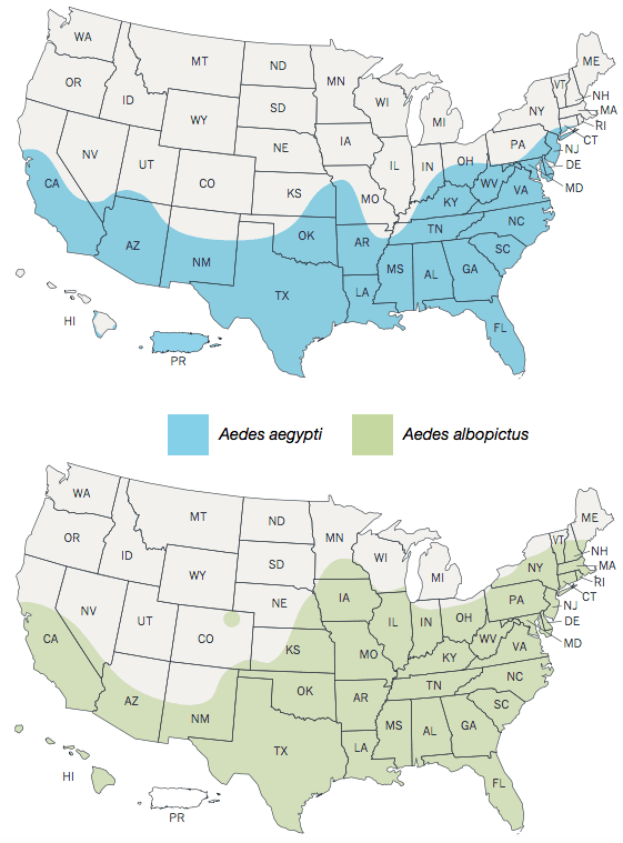 The 2016 estimated ranges of Aedes aegypti and Aedes albopictus in the United States. (Center for Disease Control and Prevention)