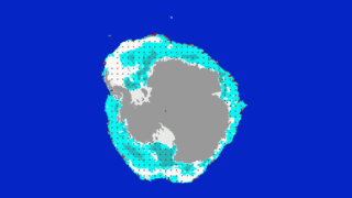 NASA QuikScat data of Antarctic sea ice movement (June-Sept. 2008) overlaid on maps of sea ice type (white = rough older ice; light blue = older ice, darker blue = younger ice, red = melt on ice, gray = permanent ice, brown = land, deep blue = open water. Red/black dots track ice movement over time.<br/> (Credits: NASA/JPL-Caltech/University of Washington, U.S. National Ice Center)