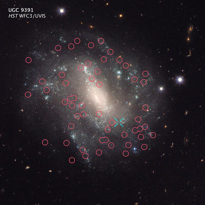 A Hubble Space Telescope image of the galaxy UGC 9391, one of the galaxies in the new survey. UGC 9391 contains the two types of stars–Cepheid variables and a Type 1a supernova–that astronomers used to calculate a more precise Hubble constant. The red circles mark the locations of Cepheids. The blue "X" denotes the location of supernova 2003du, a Type Ia supernova. The observations for this composite image were taken between 2012 and 2013 by Hubble's Wide Field Camera 3. (NASA, ESA, and A. Riess [STScI/JHU])