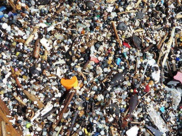 Plastic debris on a beach in the U.K. (Courtesy of Charles Rolsky)