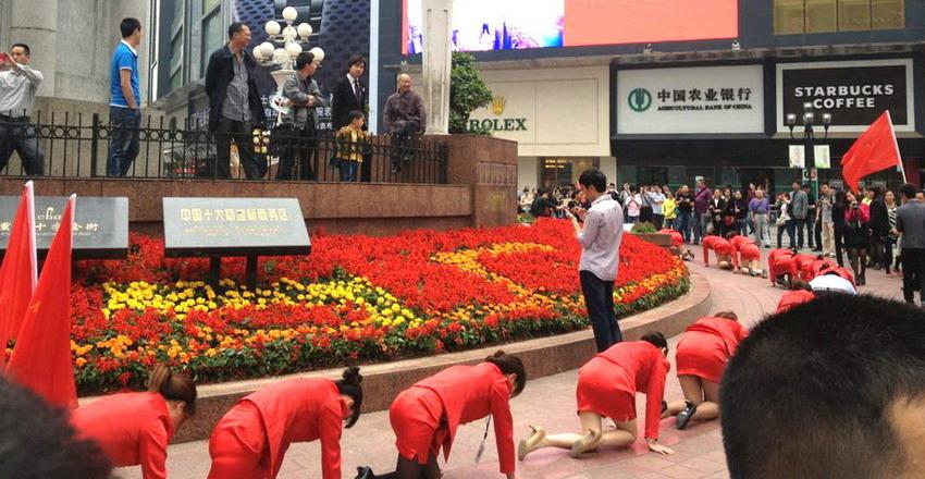 Saleswomen in Chongqing crawl on the ground as punishment for their poor performance. (via People's Net)