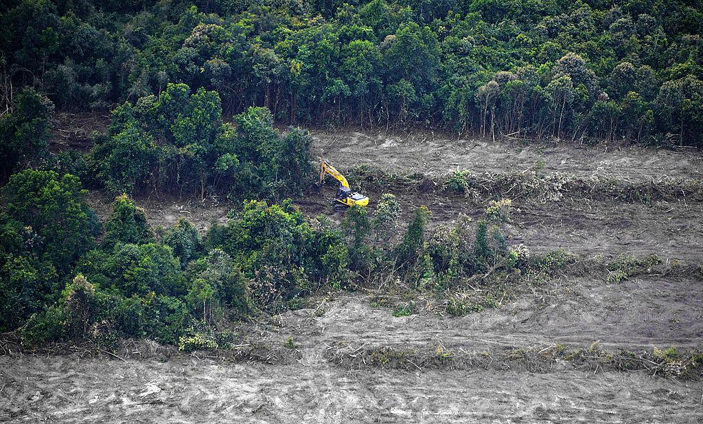 An aerial survey mission by Greenpeace, at the East Kotawaringin district in Central Kalimantan Province on Indonesia's island of Borneo, shows cleared peatland forest developed for a palm oil plantation. (Bay Ismoyo/AFP/Getty Images)
