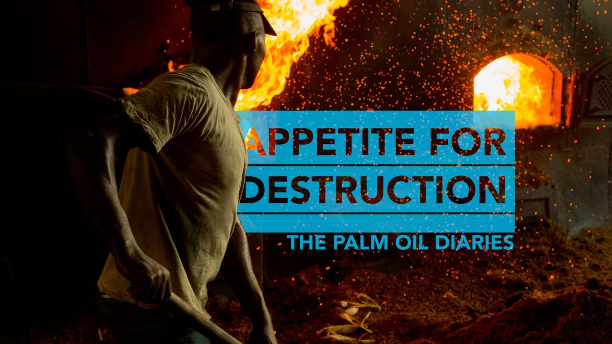 The poster for Michael Dorgan's documentary, "Appetite for Destruction: The Palm Oil Diaries." (Courtesy of Michael Dorgan)