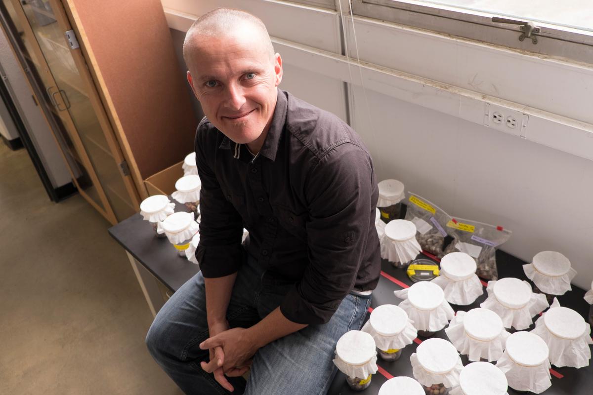 Scott Egan, an assistant professor of biosciences at Rice University, is leading a project to develop technology that will monitor and quantify genetically engineered organisms and their byproducts in the environment. ( Jeff Fitlow/Rice University)