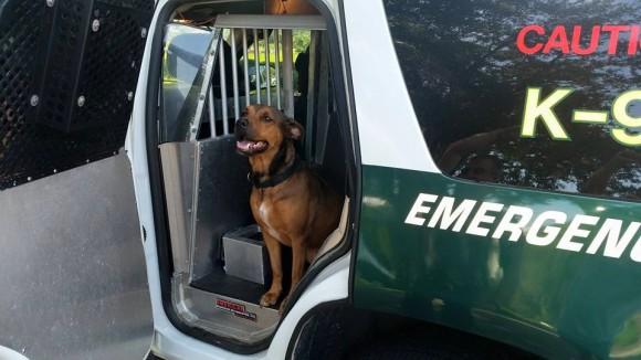 K-9 Zoey, Brad Croft's first police dog taken from a shelter. (Courtesy of Brad Croft)