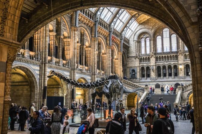 Visitors walk around Dippy the Diplodocus at the Natural History Museum in London on Jan. 4, 2017. The 70-foot-long plaster-cast sauropod replica, which is made up of 292 bones, is set to leave the museum, where it has been over 100 years, on a national tour. Dippy will be replaced by a real skeleton of a blue whale, which will be hung from the ceiling. (Dan Kitwood/Getty Images)