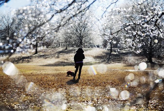 A woman walks her dog near ice-covered trees in Atlanta's Piedmont Park after a winter storm passed through on Jan. 7. Snow and sleet pounded a large swath of the U.S. East Coast on Saturday, coating roads with ice and causing hundreds of crashes. (AP Photo/David Goldman)