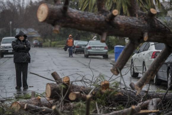 Rosie Salazar stands on Amapola Street after alerting neighbors that a tree had fallen and crushed two cars in Sacramento, Calif. on Jan. 8, 2017. Rivers are rising and winds are whipping up as a massive storm arrives in Northern California and is expected to push into Nevada by the evening. (Renee C. Byer/The Sacramento Bee via AP)
