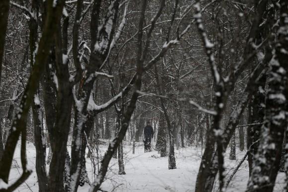 A man with a dog walks through a snow covered park on a cold winter day in Belgrade, Serbia on Jan. 9, 2017. (AP Photo/Darko Vojinovic)