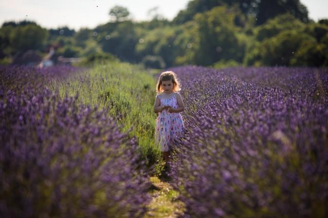 Ariadna, age 4, stands in a field of lavender at Mayfield Lavender Farm on July 5, 2017 in Banstead, England. Lavender has long been used in the cosmetics industry for its scent and can also be used to treat minor burns, insect stings and as a moth repellent in wardrobes. (Photo by Jack Taylor/Getty Images)