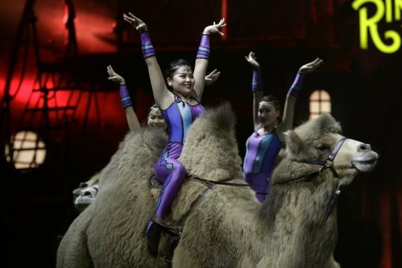 Ringling Bros. and Barnum & Bailey acrobats ride camels during a performance in Orlando, Fla., on Jan. 14, 2017. (AP Photo/Chris O'Meara)