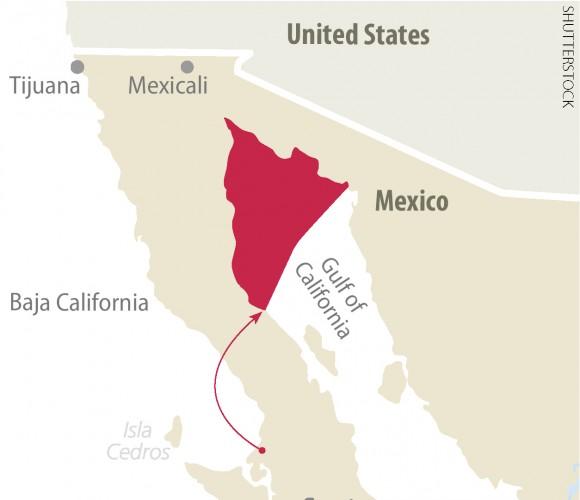 Area showing where the remaining vaquita live, in the uppermost tip of Mexico's Gulf of California.