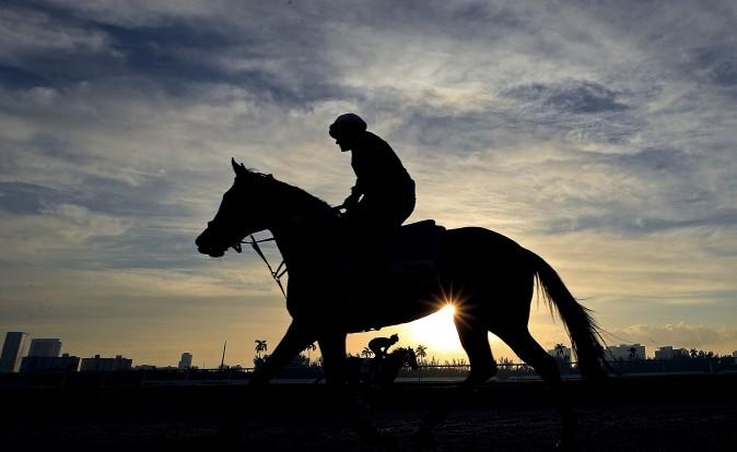 A horse works out ahead of the $12 Million Pegasus World Cup at Gulfstream Park in Hallandale, Fla., on Jan. 27. (Mike Ehrmann/Getty Images)