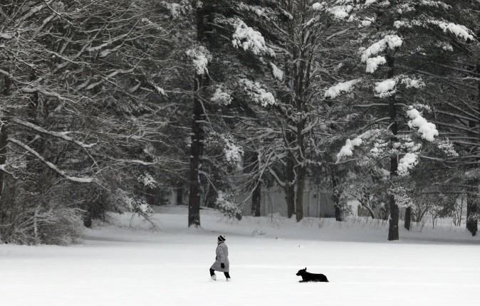 A woman walks with her dog in a field of fresh snow in Gates Mills, Ohio, on Jan. 31, 2017. (AP Photo/Tony Dejak)