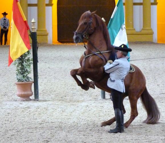 A dancing horse at the Royal Andalusian School of Equestrian Art. (Manos Angelakis)