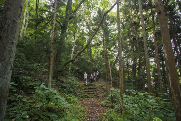 Walking along the trail to Chusonji Temple in Hiraizumi. (Annie Wu/Epoch Times)