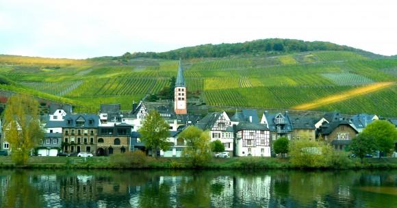 A town surrounded by vineyards on the Mosel River. (Barbara Angelakis)