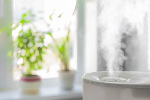 Have humidifiers on in the house and office. (Yury Stroykin/Shutterstock)