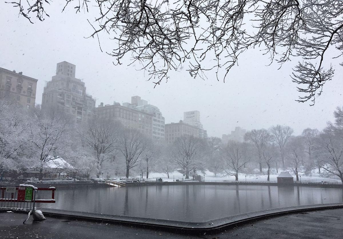 Central Park in New York on March 10, 2017. (Photo by Ceyda Erdinc)