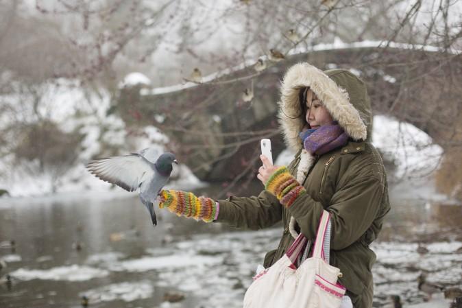 Classical pianist Aliya Turetayeva gets a last visit from a pigeon after feeding dozens of birds in Central Park, New York, on March 14. (Samira Bouaou/Epoch Times)