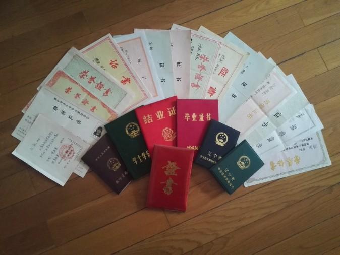 Some of Sun Min's professional and academic achievements. (Minghui)