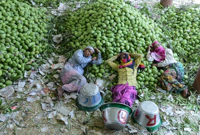 Indian workers rest after unloading mangoes at the Gaddiannaram Fruit Market on the outskirts of Hyderabad on April 12. India produces over 40 per cent of the world's mangoes, growing some 30 varieties commercially. (NOAH SEELAM/AFP/Getty Images)