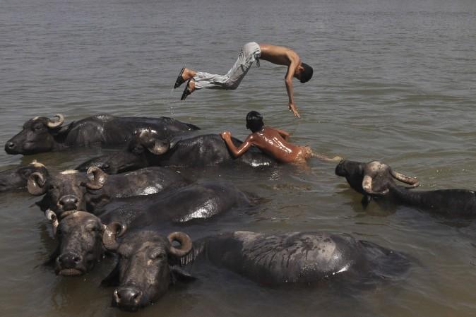 Indian nomad youths play in the water with their herd of buffaloes as they cool off in the Tawi River on the outskirts of Jammu on April 20, 2017. (-/AFP/Getty Images)