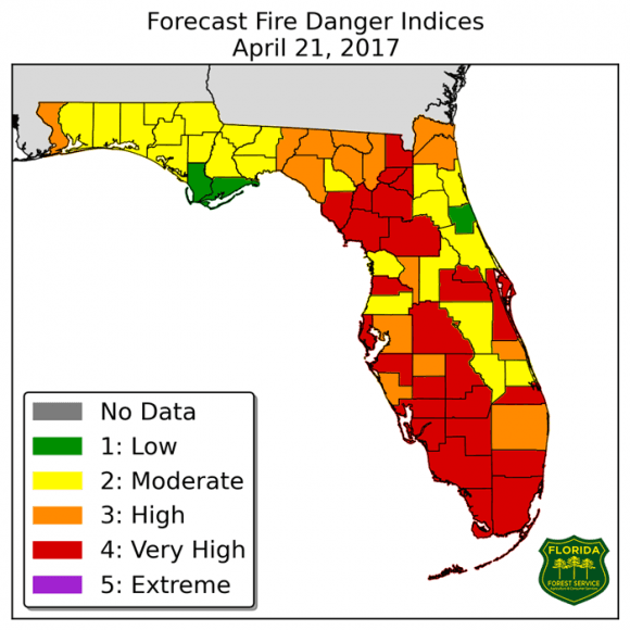 Drought conditions in Florida. (Florida Forest Service)