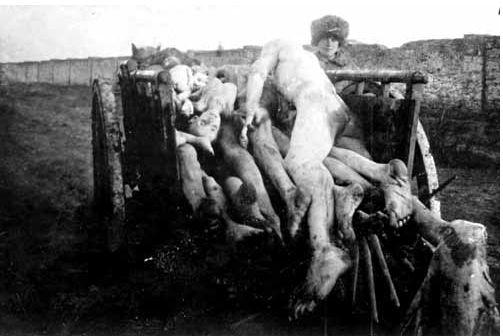 Corpses of Ukrainian famine victims being carted to a cemetery. (Public Domain)