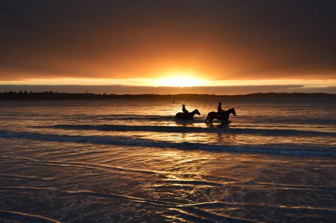 Horses from the Darren Weir stable train during a trackwork session at Lady Bay beach ahead of the Warrnambool Racing Carnival in Warrnambool, Australia, on May 3, 2017. (Vince Caligiuri/Getty Images)