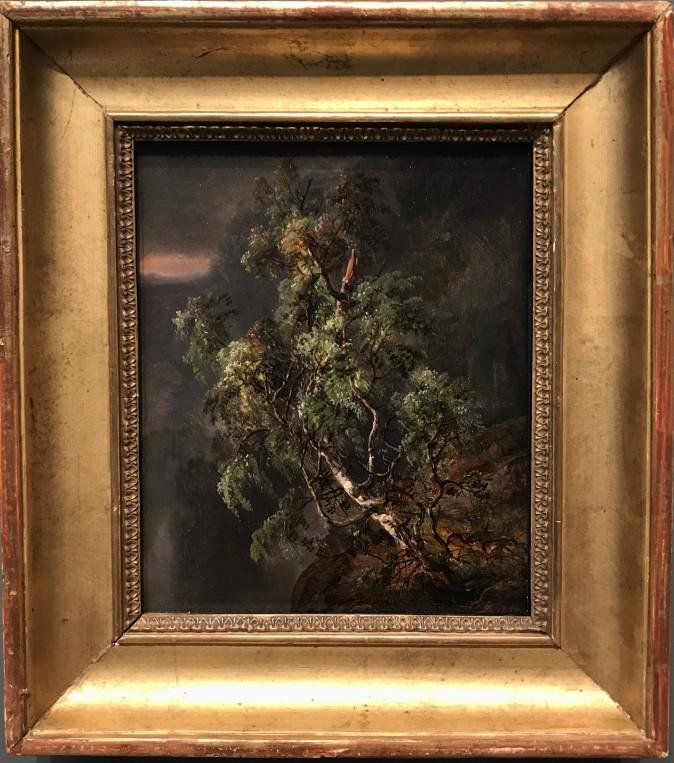 "Birch Tree in a Storm," 1849, by Johan Christian Dahl (Norway, 1788–1857). Oil on paper, laid down on cardboard. (Milene Fernandez/The Epoch Times)