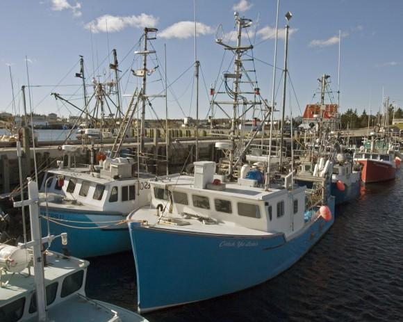 Fishing boats are moored at the government wharf in Sambro, Nova Scotia, in this file photo. The fish and seafood industry came up frequently in auditor general Michael Ferguson's audit of the temporary foreign worker program. (CP PHOTO/Andrew Vaughan)