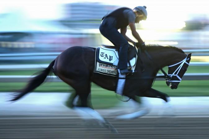 Kentucky Derby winner Always Dreaming runs on track during a training session for the upcoming Preakness Stakes at Pimlico Race Course in Baltimore, Md., on May 18, 2017. (Patrick Smith/Getty Images)