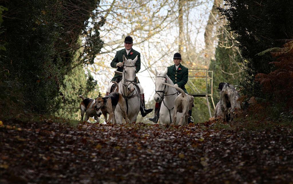 Master of the Beaufort Hunt, Ian Farquhar leads the hounds on the opening meet of the season for the Duke of Beaufort's Hunt in Badminton, England on Nov. 7, 2009. (Matt Cardy/Getty Images)